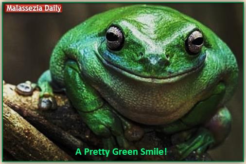A Green Smile