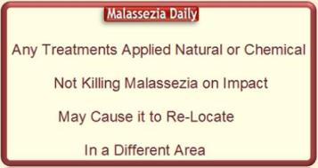 Malassezia Relocate MD