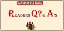 Malassezia Q&A's MD
