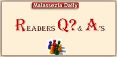 Malassezia Q&A's MD
