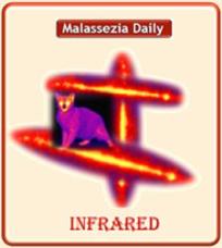 Malassezia and Infrared