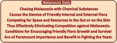 Malassezia Competition