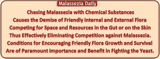 Malassezia Competition