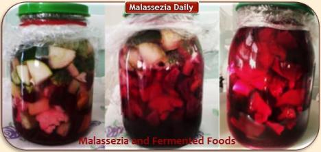 Malassezia and Fermented Foods MD