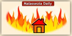 Malassezia - House on Fire