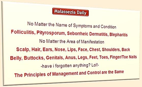 Malassezia -Symptoms- Names- Management