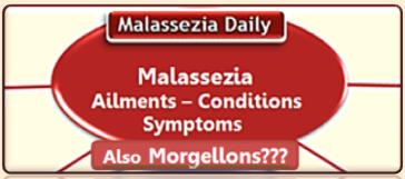 Morgellons or Malassezia MD
